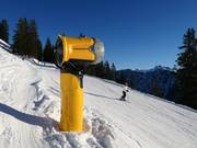 Krachtige besneeuwing