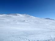 Freeride-hotspot Kobåset bij de Storkittelhobben