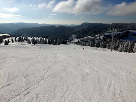 Skigebieden voor beginners in Todtnau – Beginners Feldberg – Seebuck/Grafenmatt/Fahl
