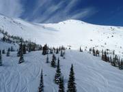 Diep-sneeuwgebied onder de Gravenstafel Mountain