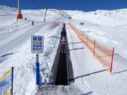 Förderband Gadein - Transportband/Moving Carpet