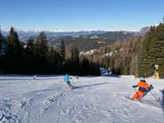 Dalafdaling Ochsenweide