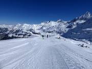 Gemakkelijke piste Schafbichel