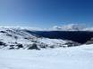 Snowy Mountains: Grootte van de skigebieden – Grootte Thredbo