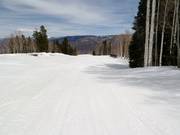 Afdaling T-Lazy-7-Catwalk