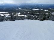 Afdaling Dragon's Tongue