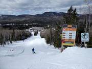 Snowpark Le Mont Grand-Fonds
