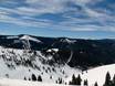 Skigebieden voor gevorderden en off-piste skiërs Western United States – Gevorderden, off-piste skiërs Vail