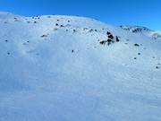 Diep sneeuwgebied bij de Knob Chair