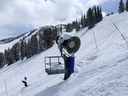 Sneeuwkanonnen in Solitude