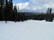 Gemakkelijke piste Hummingbird bij de Plaza Chair