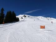 Oefenhelling bij de sleeplift Sücka