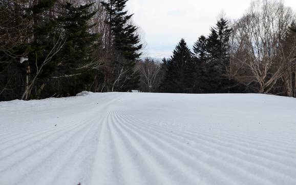 Pistepreparatie Prince Snow Resorts – Pistepreparatie Furano