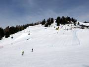 Buffaure Snowpark
