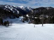 Piste nr. 17 Kolašin 1600