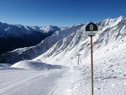 Zwarte Kanonnenrohrafdalingen