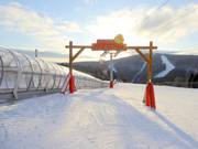 Tip voor de kleintjes  - Reischa Junior Park