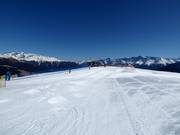 Oefenweide met transportband bij het middenstation