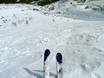 Skigebieden voor gevorderden en off-piste skiërs Canadian Prairies – Gevorderden, off-piste skiërs Castle Mountain
