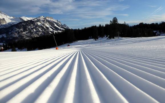 Pistepreparatie Toggenburg – Pistepreparatie Wildhaus – Gamserrugg (Toggenburg)