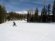 Gemakkelijke afdaling Bridges