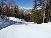 Gemakkelijke piste Brunarica-Zadnji Vogel nr. 12