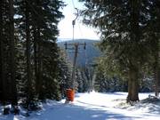 Neklid-VL 500 - Sleeplift met T-beugel/Ankerlift