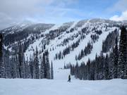 Uitzicht op de pistes Silver King