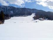 Uitzicht op de pistes in Thiersee-Mitterland