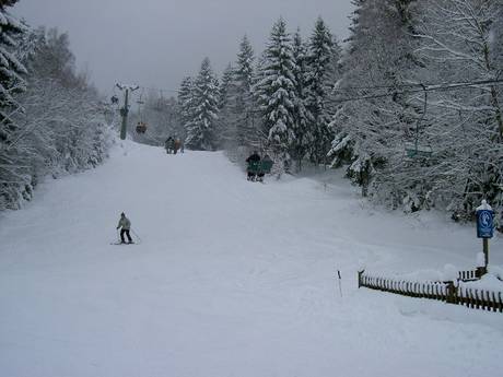 Pisteaanbod Opper-Pfalz – Pisteaanbod Hohenbogen – Neukirchen bei Hl. Blut