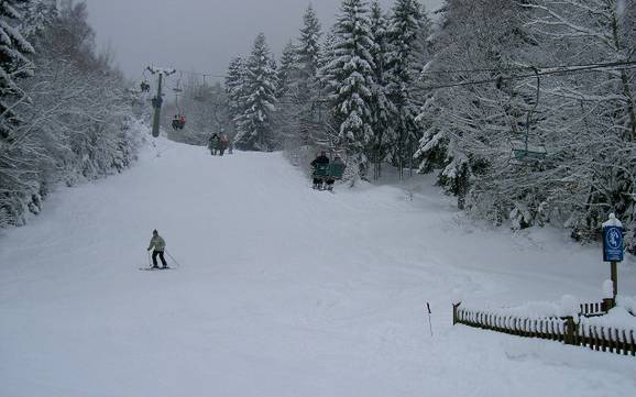 Grootste skigebied in het Natuurpark Oberer Bayerischer Wald – skigebied Hohenbogen – Neukirchen bei Hl. Blut