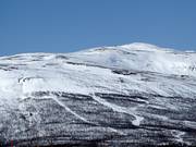 Freeridehellingen in Abisko