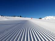 Zeer goede pistepreparatie