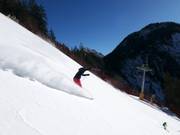 Zwarte piste Piculin