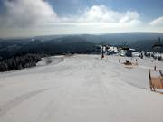 Carvingplezier in de ochtend