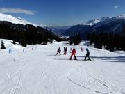 Makkelijke pistes bij de oefenlift Caischavedra