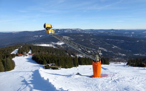 Sneeuwzekerheid Zwieseler Winkel – Sneeuwzekerheid Arber
