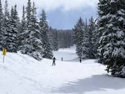 Piste bij de stoeltjeslift Great Western Express