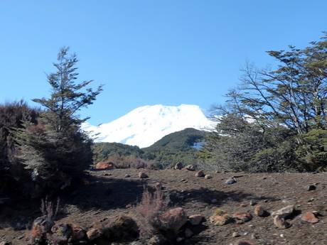 Noordelijke eiland: milieuvriendelijkheid van de skigebieden – Milieuvriendelijkheid Tūroa – Mt. Ruapehu