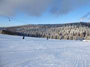 Piste en skilift in Herzogsreut
