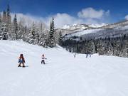 Makkelijke piste bij de stoeltjeslift Link