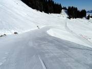 Start van de piste bij het bergstation van de Hörnerbahn