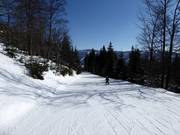 Gemakkelijke piste Vodovodni