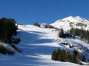 Waldalmpiste met Waldalmbahn