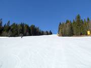 Piste Nore Midtre Nr. 6