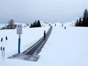 Zauberteppich Oberdorf - Transportband/Moving Carpet