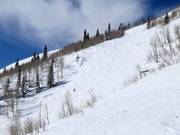 Steile piste bij de Lady Morgan Express