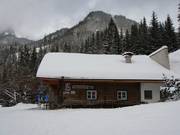 Buchaueralm aan de dalafdaling