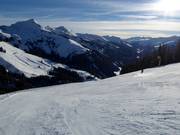 Fleidingafdaling in Westendorf