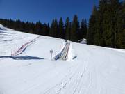 Transportband in Fiorentini